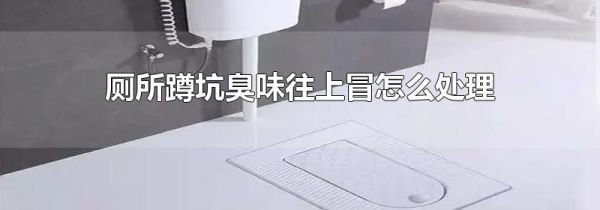 厕所蹲坑臭味往上冒怎么处理
