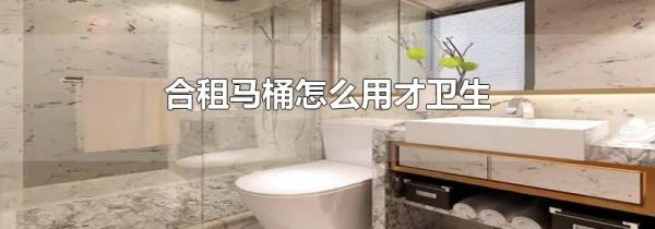 合租马桶怎么用才卫生