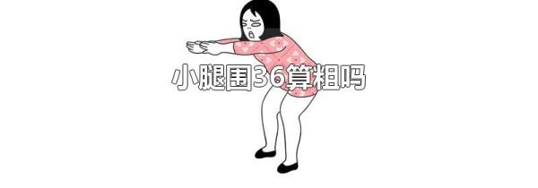 小腿围36算粗吗