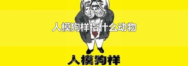 人模狗样指什么动物