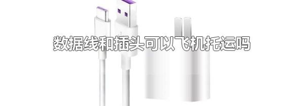 数据线和插头可以飞机托运吗