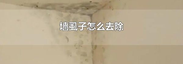 墙虱子怎么去除
