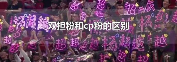 双担粉和cp粉的区别