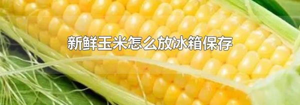新鲜玉米怎么放冰箱保存