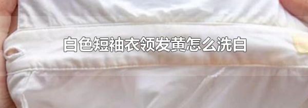 白色短袖衣领发黄怎么洗白