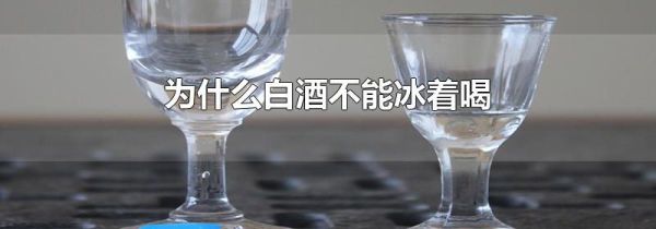 为什么白酒不能冰着喝