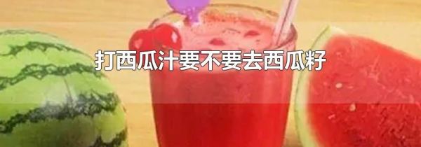 打西瓜汁要不要去西瓜籽