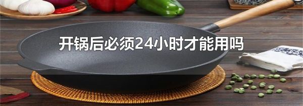 开锅后必须24小时才能用吗