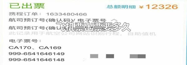 飞机票出票要多久