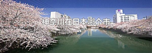 神奈川在日本哪个市