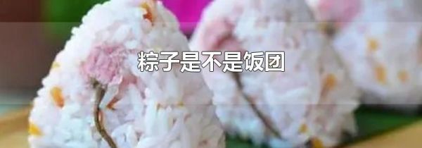 粽子是不是饭团