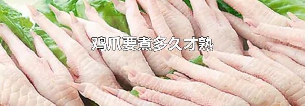 鸡爪要煮多久才熟
