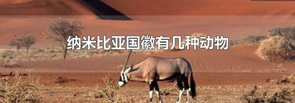 纳米比亚国徽有几种动物