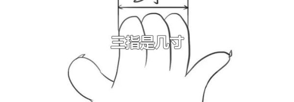 三指是几寸