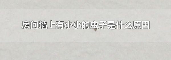 房间墙上有小小的虫子是什么原因