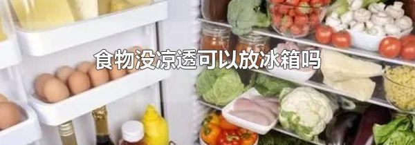 食物没凉透可以放冰箱吗