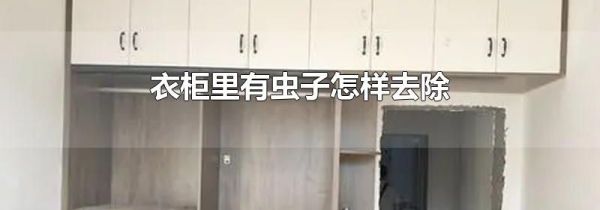 衣柜里有虫子怎样去除