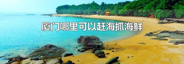 厦门哪里可以赶海抓海鲜