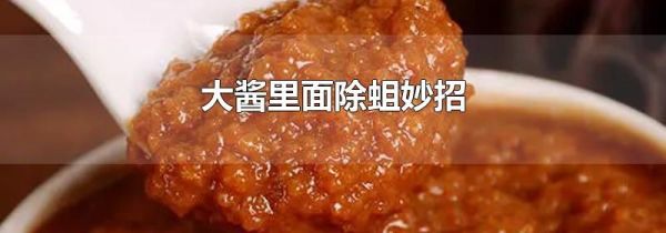 大酱里面除蛆妙招