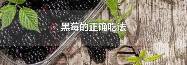 黑莓的正确吃法