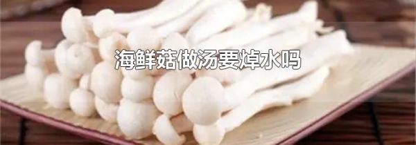 海鲜菇做汤要焯水吗
