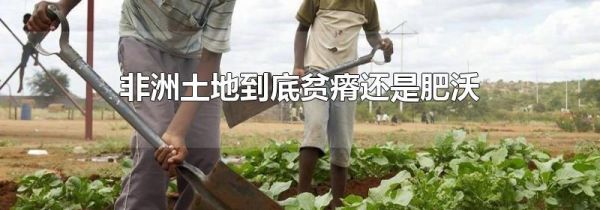 非洲土地到底贫瘠还是肥沃