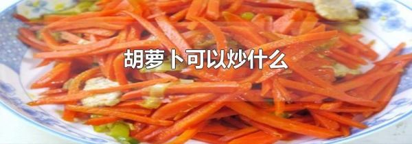 胡萝卜可以炒什么