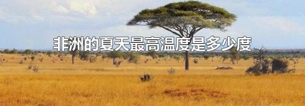 非洲的夏天最高温度是多少度