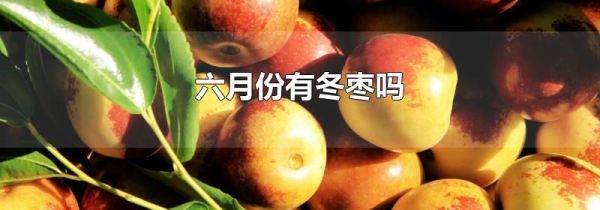 六月份有冬枣吗