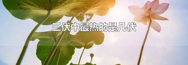 三伏中最热的是几伏