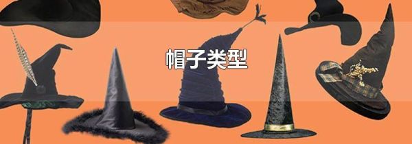 帽子类型