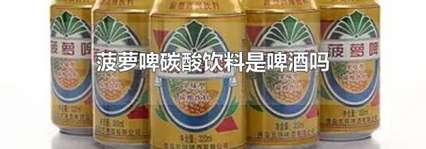 菠萝啤碳酸饮料是啤酒吗