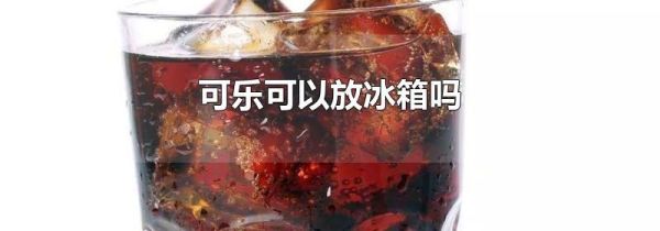 可乐可以放冰箱吗