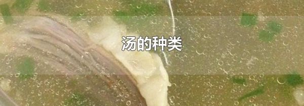 汤的种类