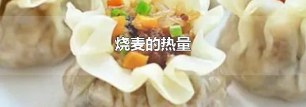烧麦的热量