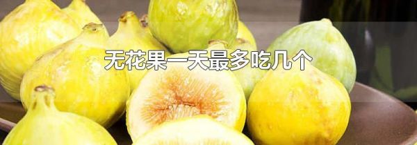 无花果一天最多吃几个