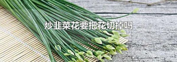 炒韭菜花要把花切掉吗
