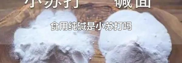食用纯碱是小苏打吗
