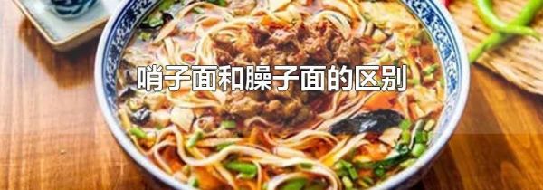 哨子面和臊子面的区别