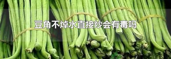 豆角不焯水直接炒会有毒吗