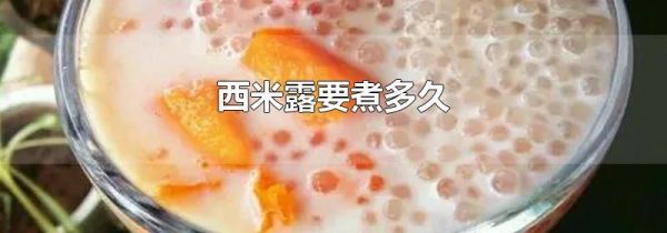 西米露要煮多久