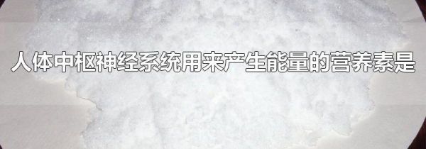 人体中枢神经系统用来产生能量的营养素是