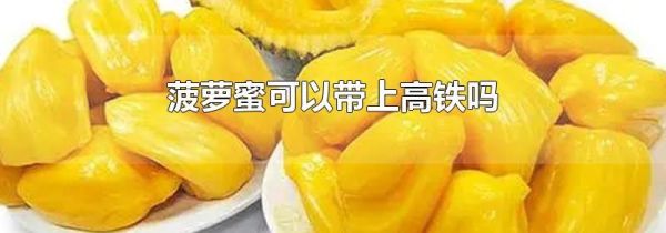 菠萝蜜可以带上高铁吗