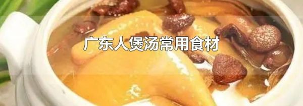 广东人煲汤常用食材