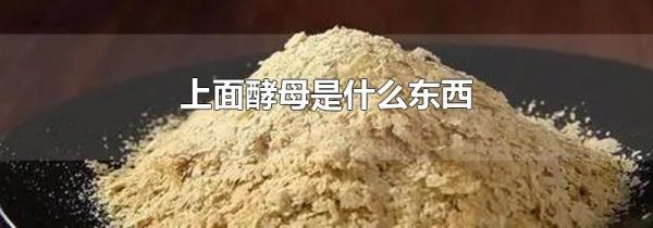 上面酵母是什么东西