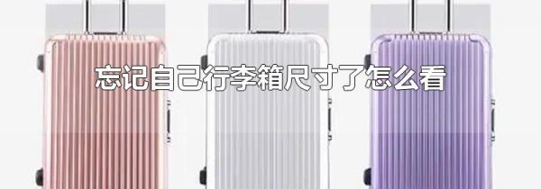 忘记自己行李箱尺寸了怎么看