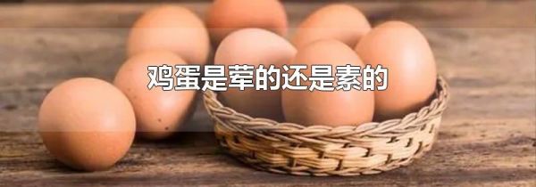 鸡蛋是荤的还是素的