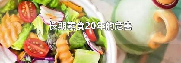 长期素食20年的危害