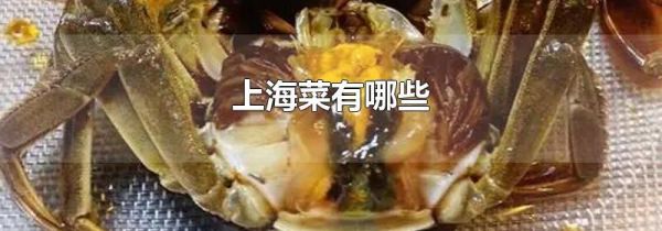上海菜有哪些