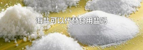 海盐可以代替食用盐吗